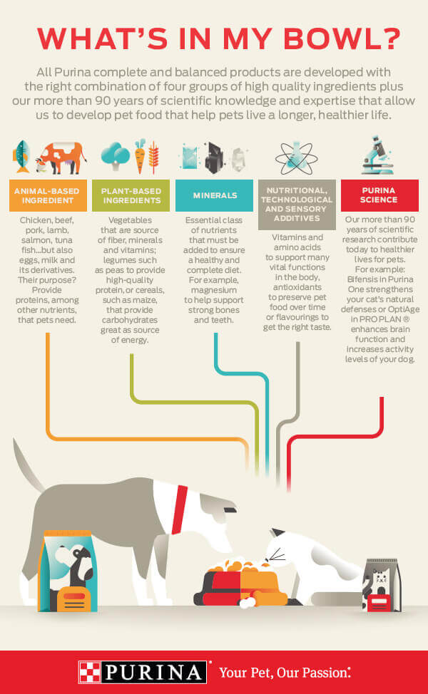what's in my bowl infographic