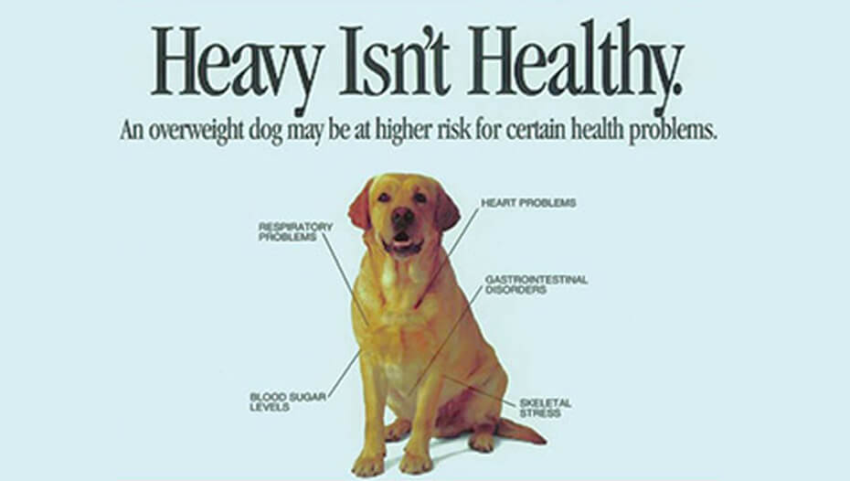 Heavy isn't healthy poster