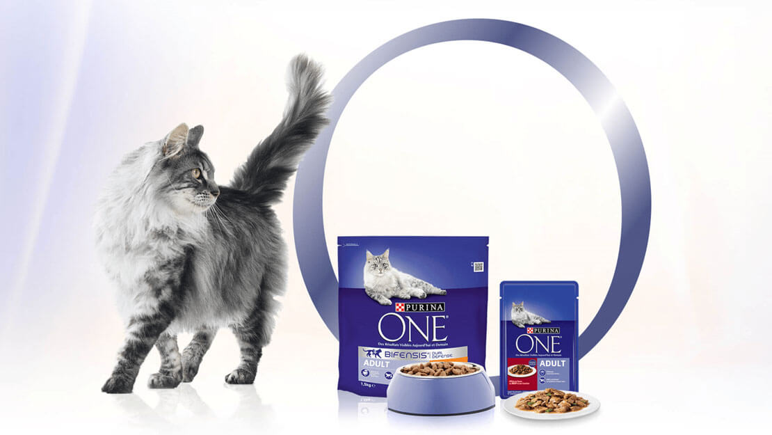 Purina ONE Bifensis listing page