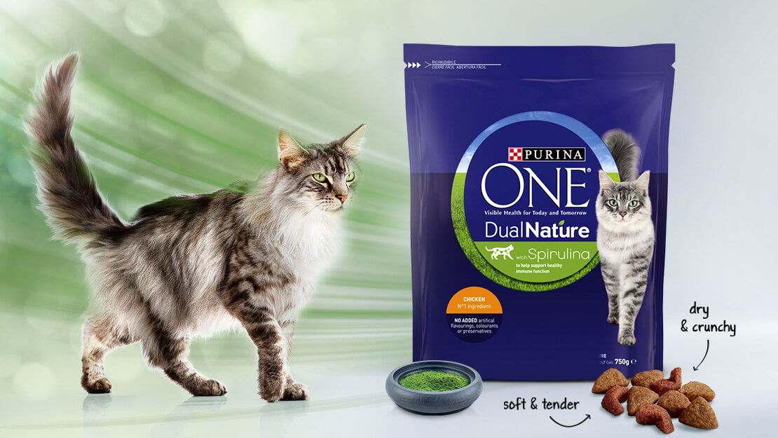 Purina ONE Dual Nature listing page