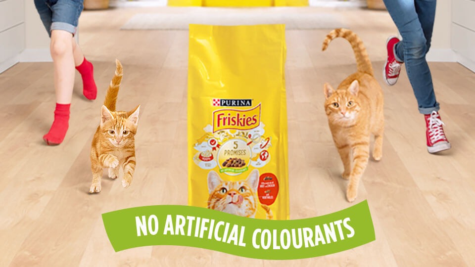 Friskies cat food