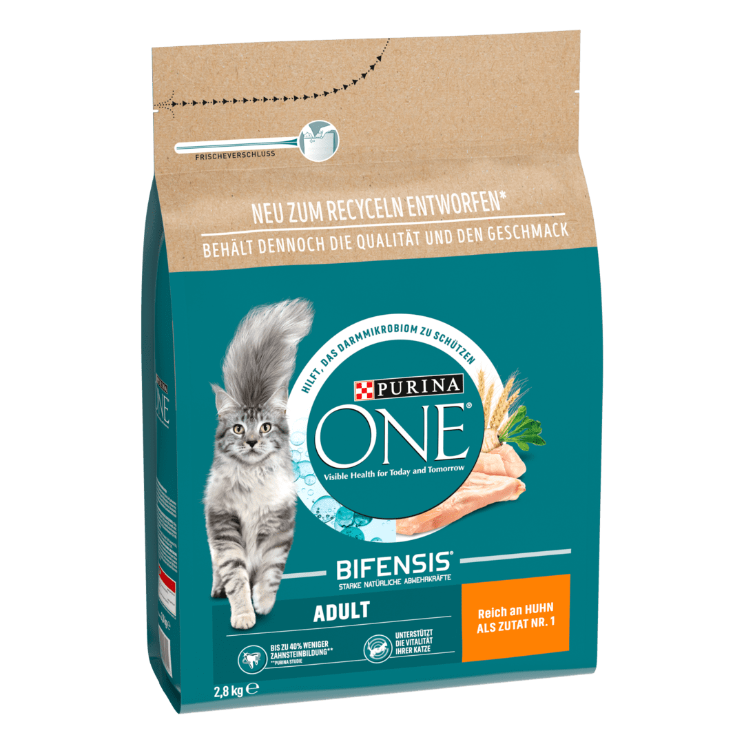 PURINA ONE® Chicken and Whole Grains Dry Cat Food