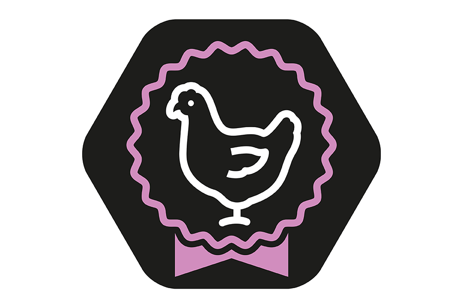 Rich in Chicken