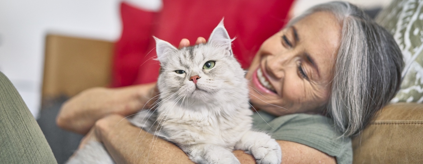 Woman holding her cat while sitting on the couch