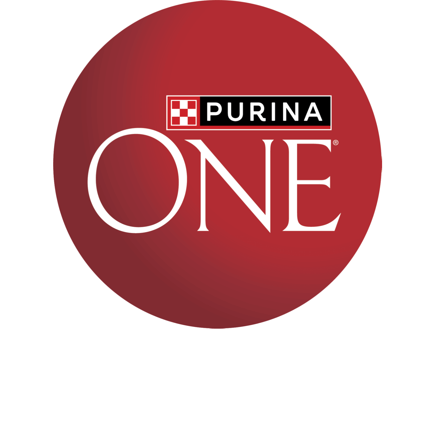 Purina ONE Dog
