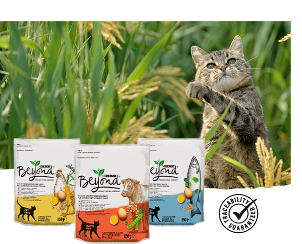 Cat Beyond Standard Range