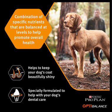 PRO PLAN Medium OPTIBALANCE Chicken Dry Dog Food