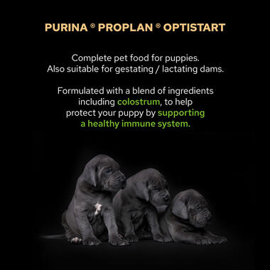 PRO PLAN Large Robust Puppy OPTISTART Chicken Dry Dog Food