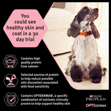PRO PLAN Large Athletic Sensitive Skin Salmon Dry Dog Food