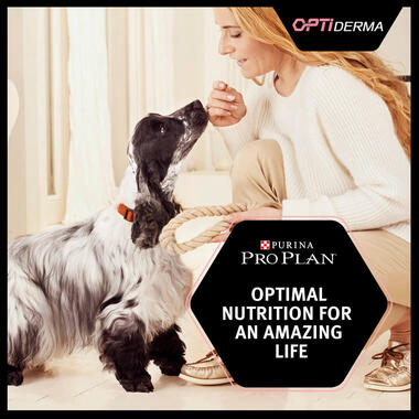 PRO PLAN Large Athletic Sensitive Skin Salmon Dry Dog Food