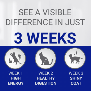 PURINA ONE® Sensitive Turkey and Rice Dry Cat Food