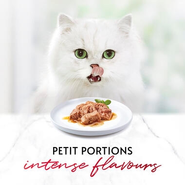 GOURMET™ Mon Petit Intense Meat Variety (Turkey, Duck and Chicken) Wet Cat Food