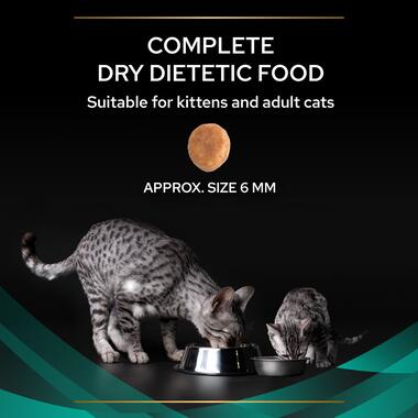 PRO PLAN® VETERINARY DIETS EN Gastrointestinal Dry Cat Food