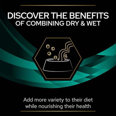 PURINA® PRO PLAN® VETERINARY DIETS EN St/Ox Gastrointestinal™, Wet Cat Food Mousse Can