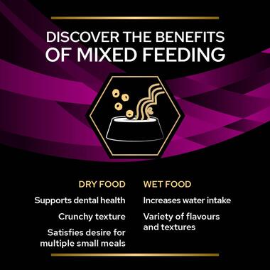 PURINA® PRO PLAN® VETERINARY DIETS UR St/Ox Urinary™ with Salmon, Wet Cat Food Pouch