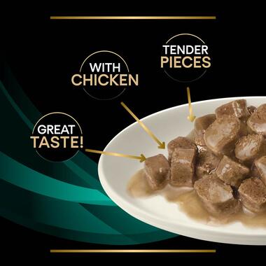 PURINA® PRO PLAN® VETERINARY DIETS EN St/Ox Gastrointestinal™ with chicken, Wet Cat Food Pouch