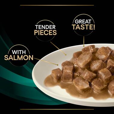 PURINA® PRO PLAN® VETERINARY DIETS EN St/Ox Gastrointestinal™ with salmon, Wet Cat Food Pouch