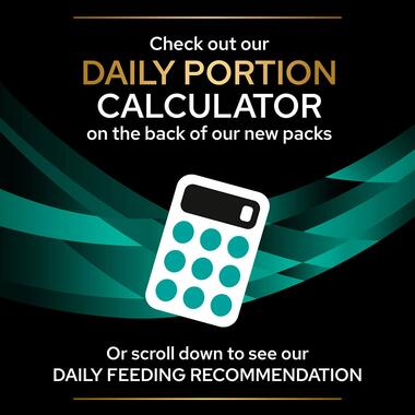 PURINA® PRO PLAN® VETERINARY DIETS EN St/Ox Gastrointestinal™ with salmon, Wet Cat Food Pouch