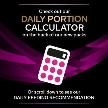 PURINA® PRO PLAN® VETERINARY DIETS UR St/Ox Urinary™ with Salmon, Wet Cat Food Pouch