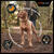 PRO PLAN Medium OPTIBALANCE Chicken Dry Dog Food