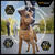PRO PLAN Light Weight Management Chicken Dry Dog Food