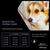 PRO PLAN® Medium and Large Adult 7+ OPTIAGE Chicken Dry Dog Food