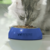 PURINA ONE® Sensitive Turkey and Rice Dry Cat Food