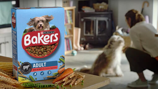 Box of Bakers food on table with dog in a background
