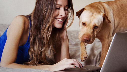 Woman and dog at laptop