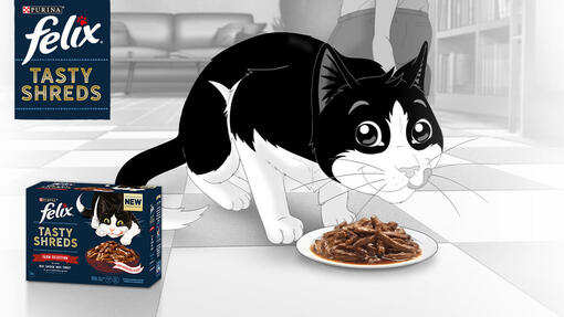 Felix Tasty Shreds