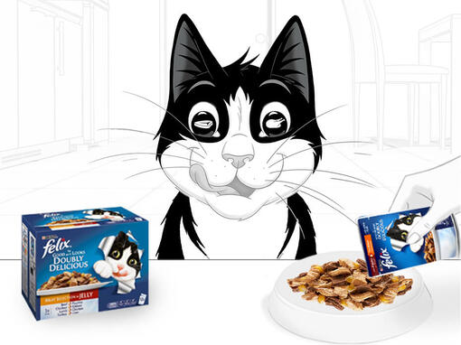 Felix purina cat clearance