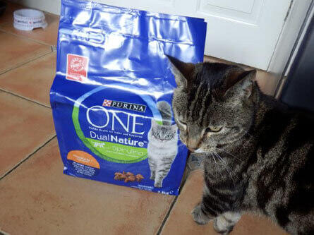 cat sitting next to a bag of purina one dual nature