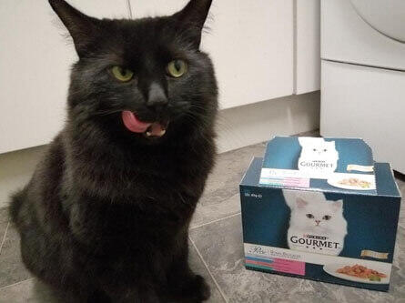 Our Minx loves them!