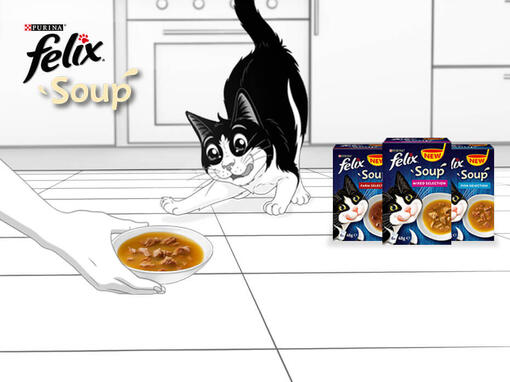 felix soup