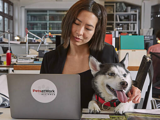 Woman working on laptop with Husky