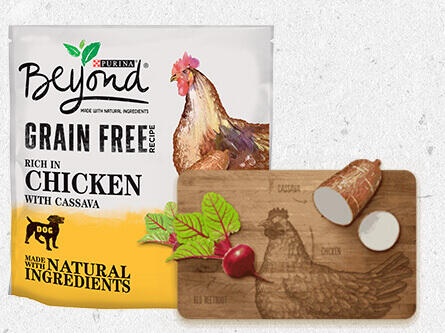 BEYOND® Grain Free Chicken with Cassava Dry Dog Food