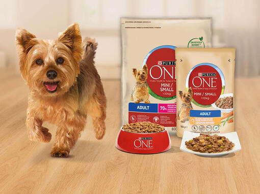 PURINA ONE Mini Dog Food