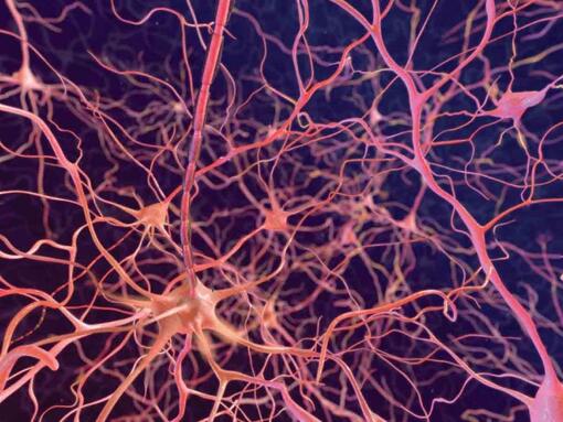 neurons on a dark background