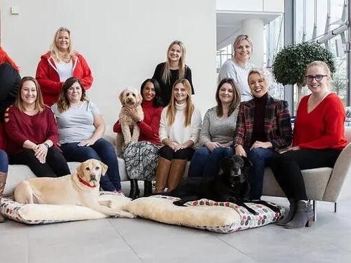 Purina's Consumer Engagement Services team 