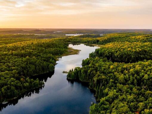 aerial view of forest and river landscape