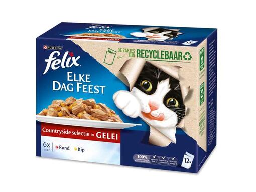 Purina Felix cat food