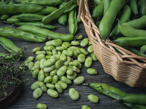 fava beans on a dark table