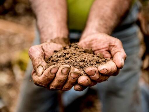 soil in a man's hands