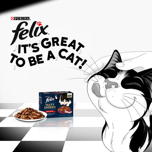 black and white cat banner for Felix It's Great to Be a Cat