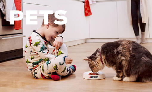 child feeding tabby cat in the kitchen