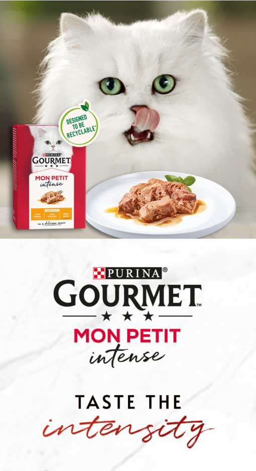 Gourmet Mon Petit Intense