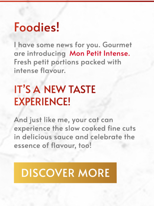 Gourmet Mon Petit Intense