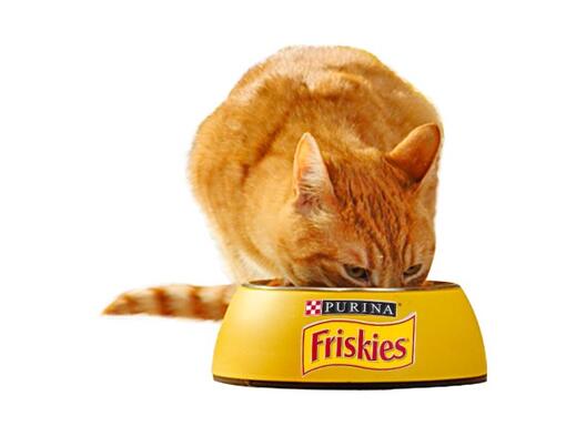 Friskies Cat Adult