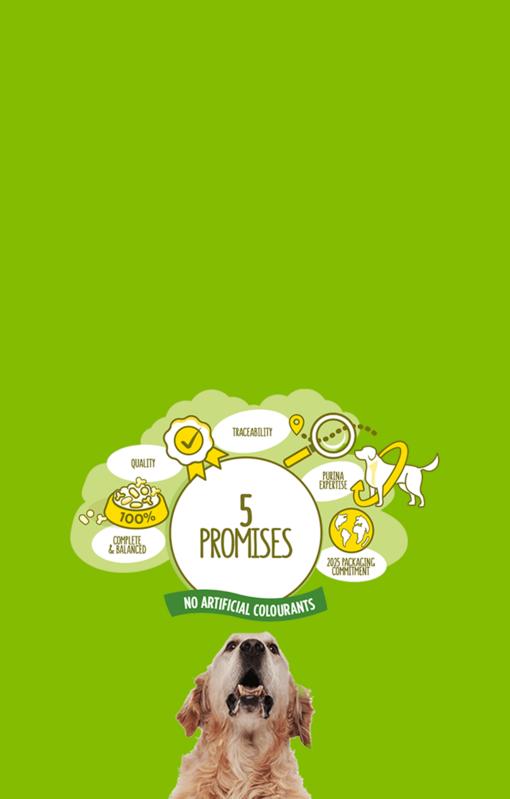 Friskies Dog 5 promises