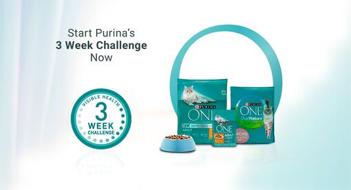 Purina ONE 3 week challenge